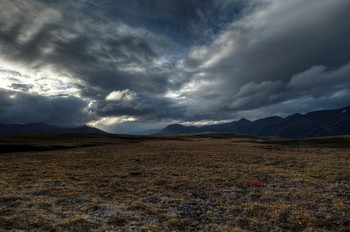 Calm before the storm / ***