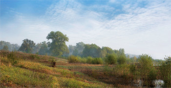 The old riverbed / ***