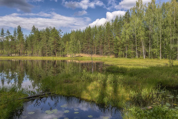 Forest Lake / ***