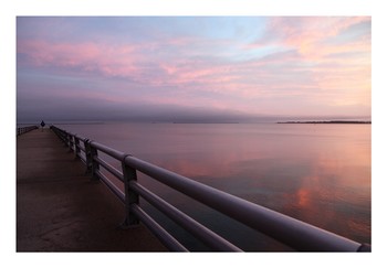 &nbsp; / [img]https://i.imgur.com/Gg4uyic.jpg[/img]