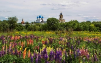 Landschaft mit Lupine / ***