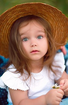 Gänseblümchen / ***