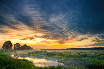Sunset / ***