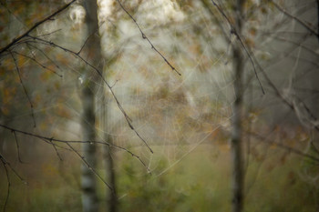 Autumn breath / ***