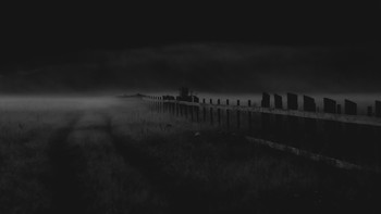 Evening / ***