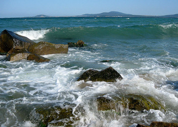 Wellen / ***