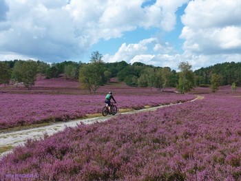 Fischbeker Heide Hamburg / ***