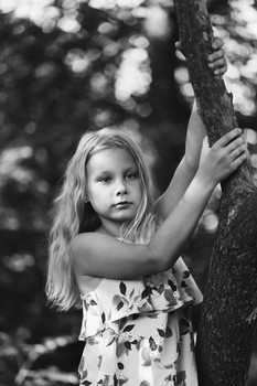 in a tree / ***