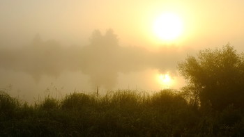 Nebel in der Morgendämmerung. / ***