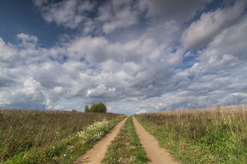 Way / ***