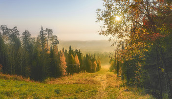 Nebliger Morgen / ***