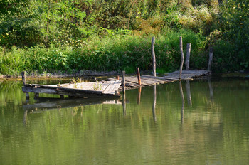 Old Bridge / ***