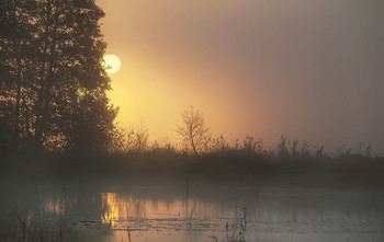 Morning begins ... / ***