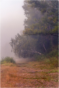 The smell of autumn / ***