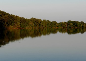 Pond / ......