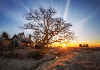 Sunrise on a early spring morning / Morning in the countryside. Estonia