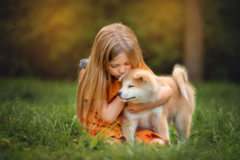 care / ***