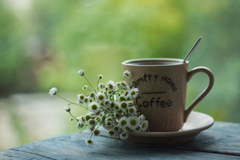 cup of coffee / ***