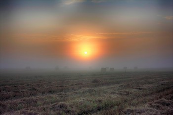Nebel / ***