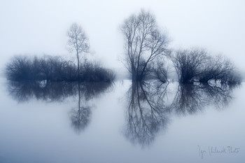 Reflection / ***