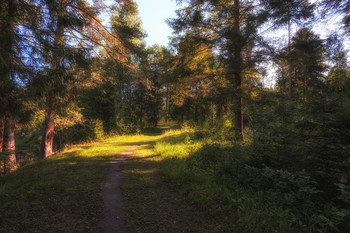 Spring Forest / ***