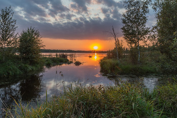 Abend auf dem See / ***