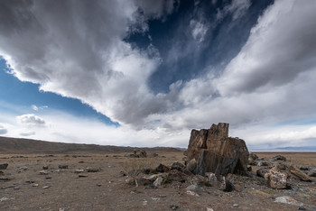 steppe landscape / ***