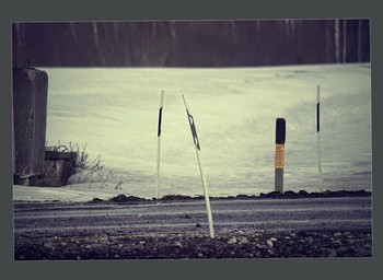 &nbsp; / 2011