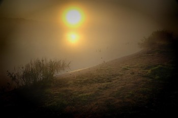 Morgendämmerung / ***