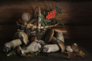Mushroom still life / 2019