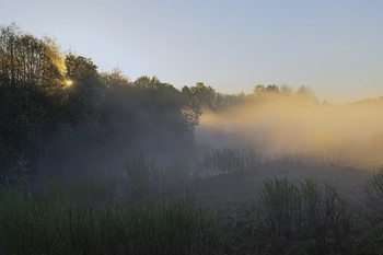 Sunny fog / ***