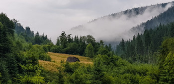 Dawn of the Carpathians / ***