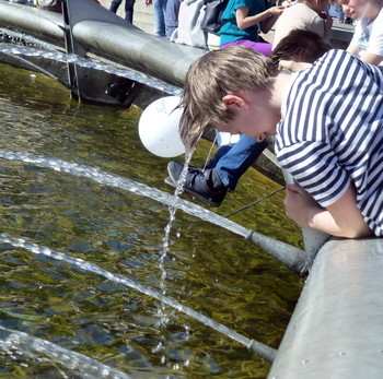 Water Treatments / ***