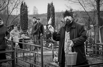 Wasserbehandlungen / ***