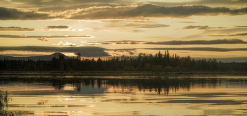 In the golden sunset / ***