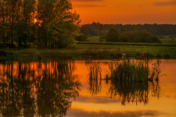 Sonnenuntergang / ***