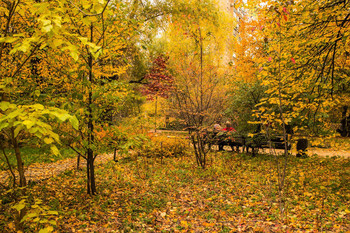 Bunte Herbst / ***