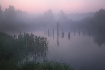 Morning sketches / ***