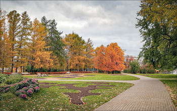 Im Herbst des Parks ... / ***