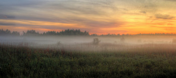 Evening / ***