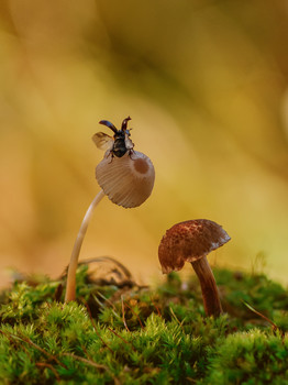 Ready for takeoff! / ***