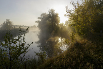 Nebliger Morgen / ***