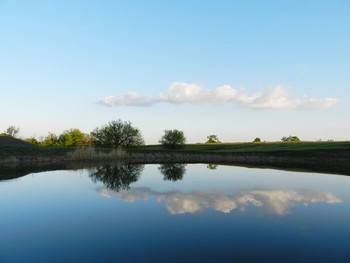 Reflection / ....