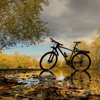 &nbsp; / music: Ok Moon - Harpoon
https://www.youtube.com/watch?v=aeiZkp8RkGE