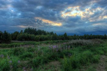 Evening / ***