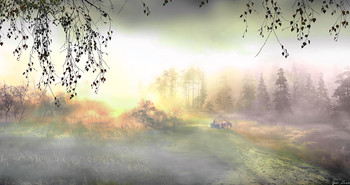 Evening fog / ***