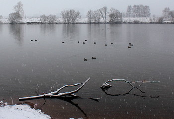 The beginning of winter! / ***