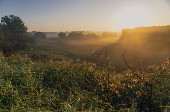Autumn morning / http://www.youtube.com/watch?v=Qe0neQnMU38