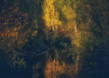 Autumn Gold / ***