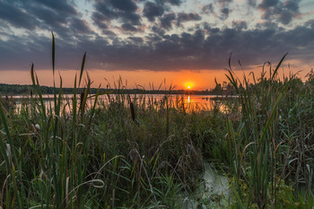 Septemberabend / ***